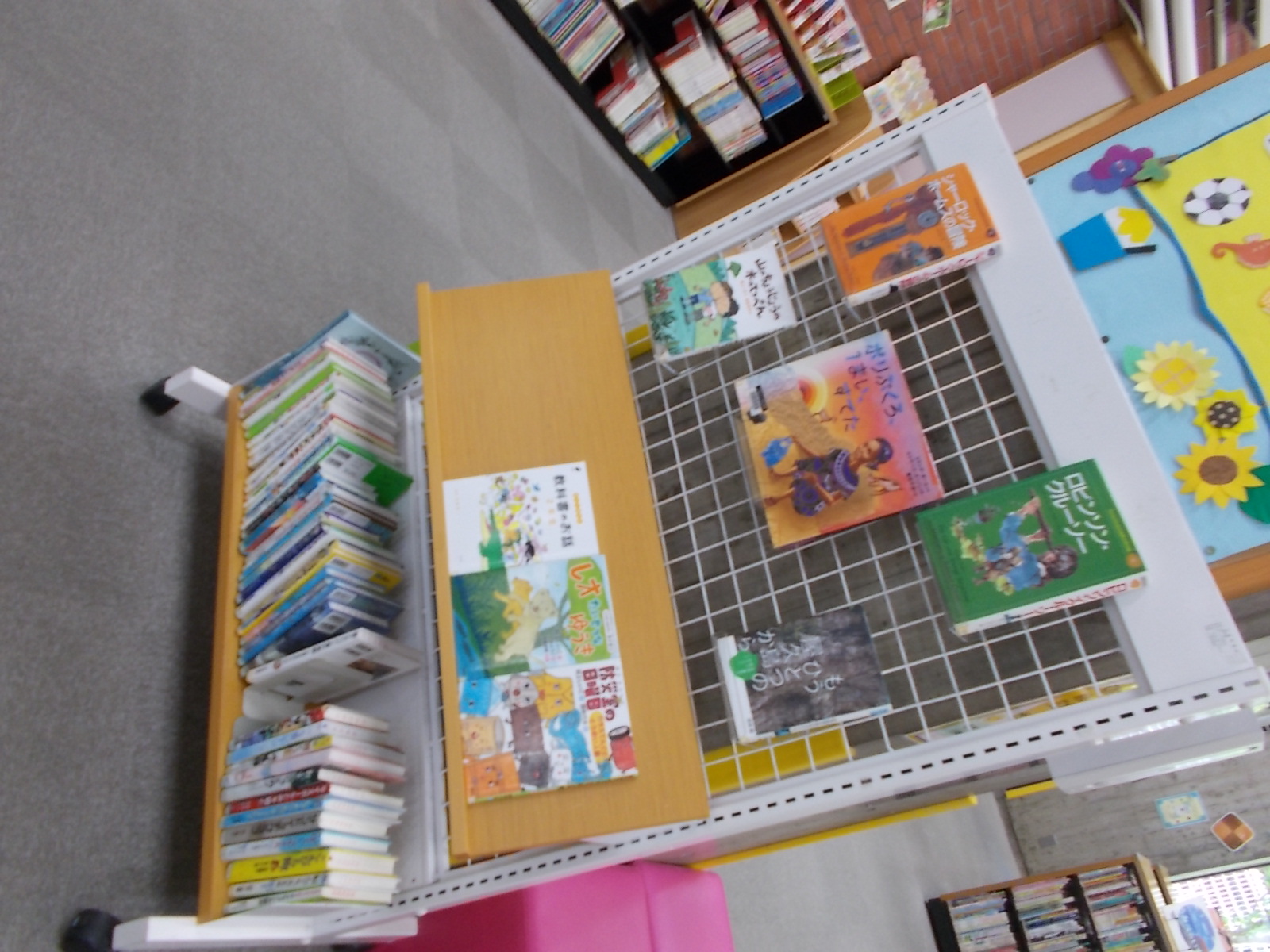 展示写真