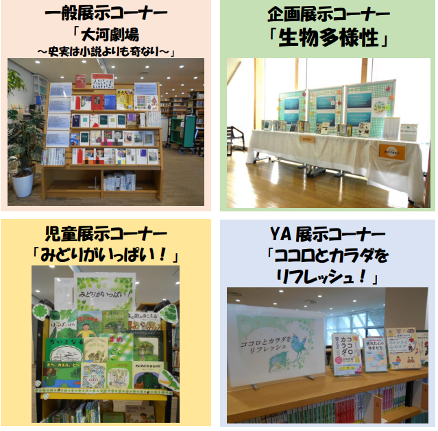 展示写真
