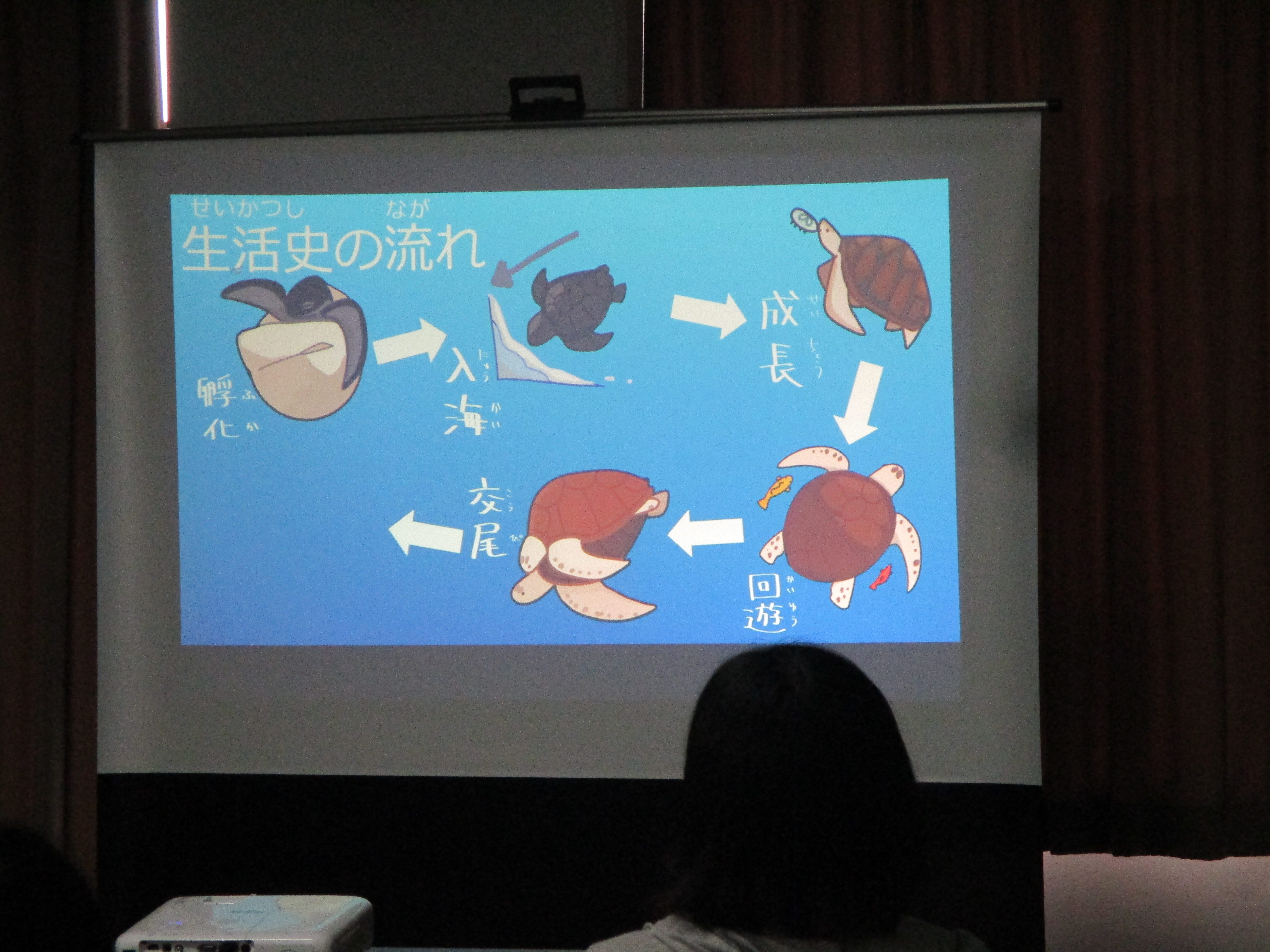 こども海洋講座『ウミガメってどんな生き物? これで君もウミガメ博士!!の様子の写真1