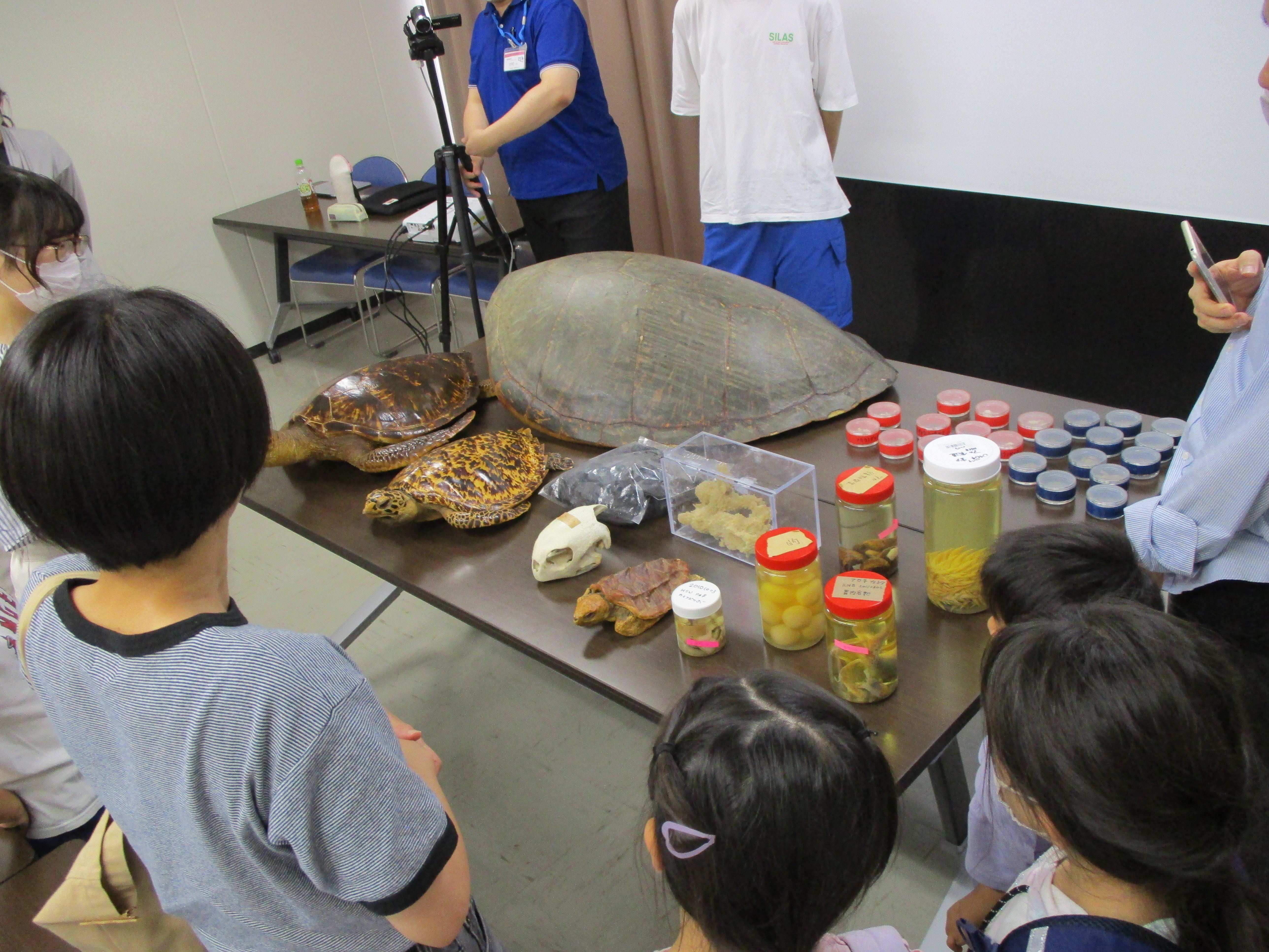 こども海洋講座『ウミガメってどんな生き物? これで君もウミガメ博士!!の様子の写真3